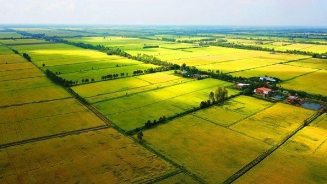 Luật Đất đai (Sửa đổi): Nâng hạn mức nhận chuyển quyền sử dụng đất nông nghiệp